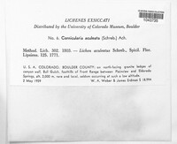 Image Associated With the Occurence